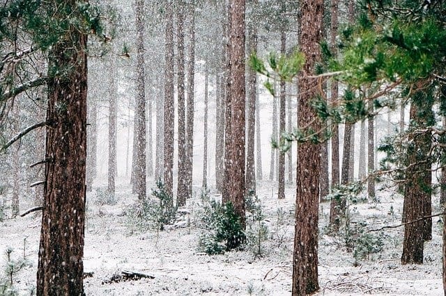 5 Tips For Slacklining In Snow During Winter